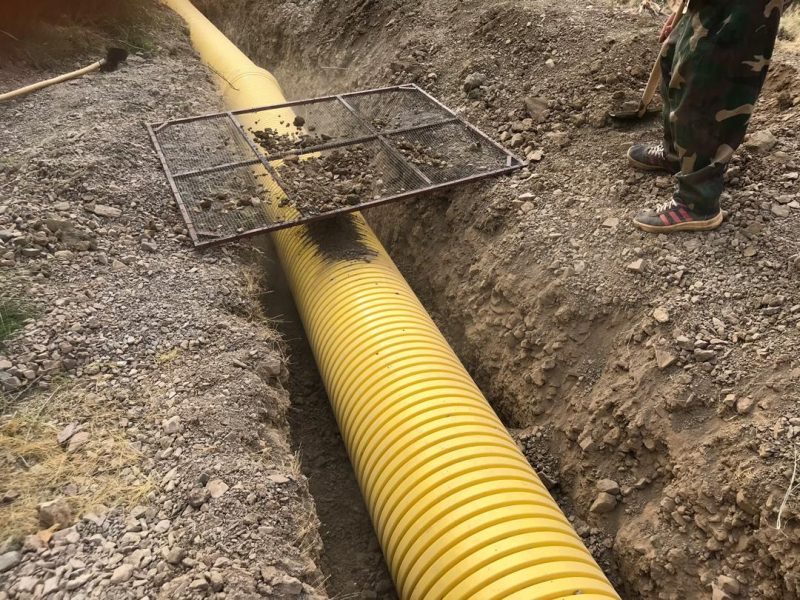 WhatsApp Image 2019-07-13 at 11.20.12 AM(1)