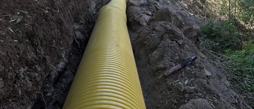 WhatsApp Image 2019-07-13 at 11.20.18 AM