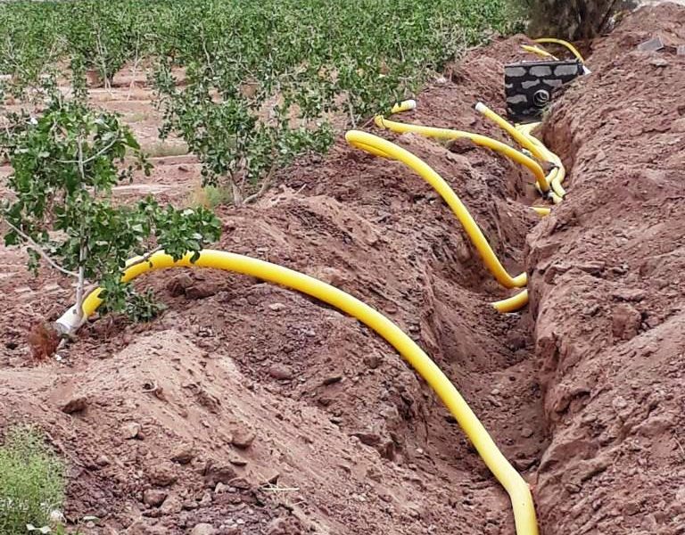 WhatsApp Image 2020-01-28 at 11.27.09(1)