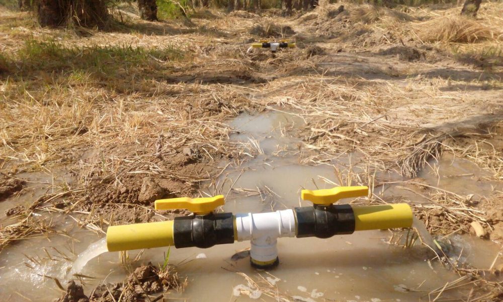 photo_2017-08-24_10-32-32 photo_2017-08-24_10-32-32