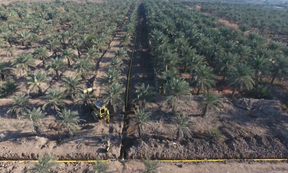 photo_2017-11-26_11-09-06 (2) photo_2017-11-26_11-09-06 (2)